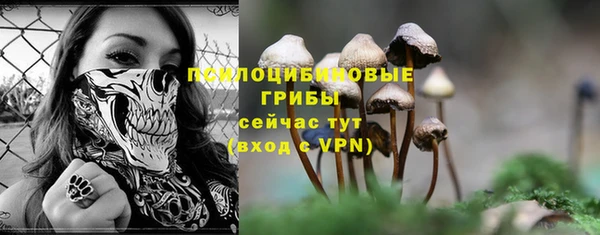 гашик Алзамай