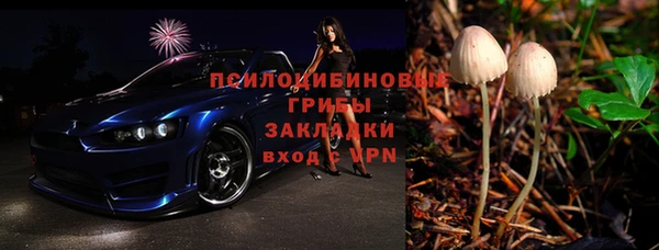 гашик Алзамай