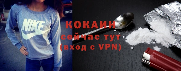 индика Армянск