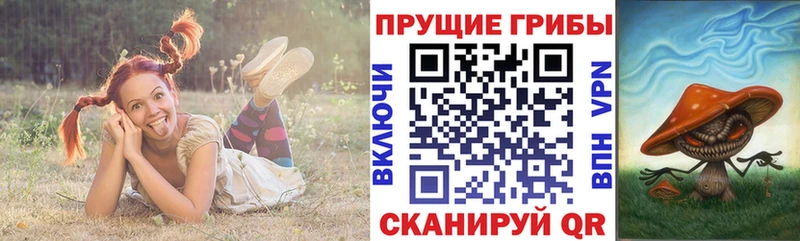 хочу Лахденпохья Псилоцибиновые грибы мухоморы